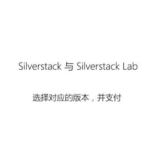 download silverstack demo
